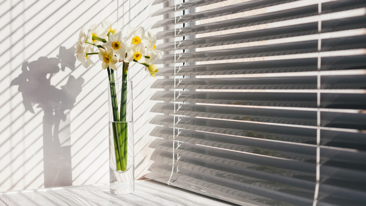 persiana e um vaso de flor amarela